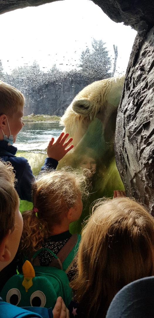 39D0D7A3 FDB9 4AF0 A6A1 53A54DE8D3C2