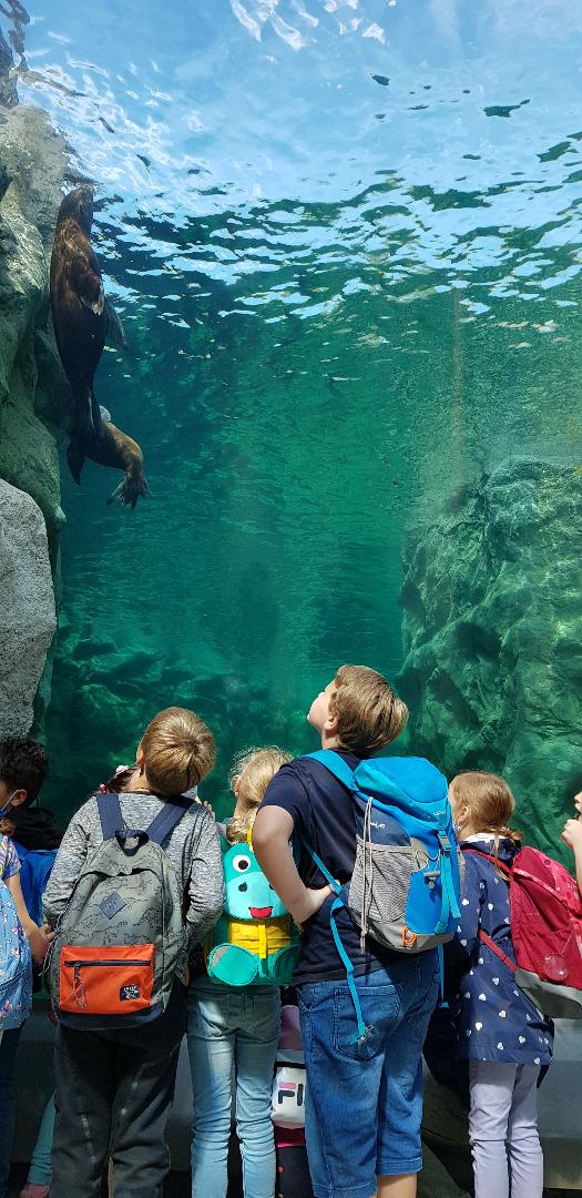 6F5AB2FE CA9D 4AB2 BE64 B49631332E51